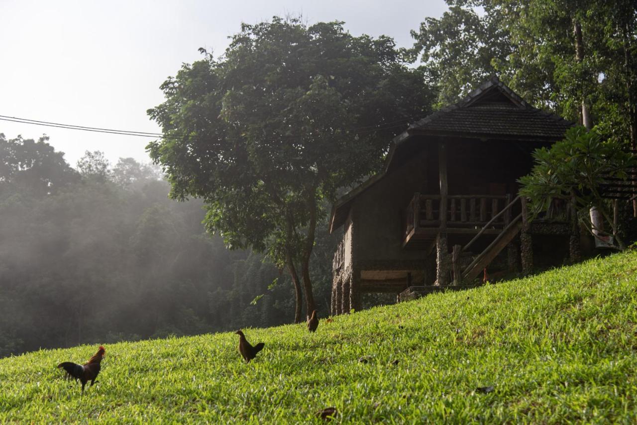 Tawan Riverside Mae Wang Buitenkant foto
